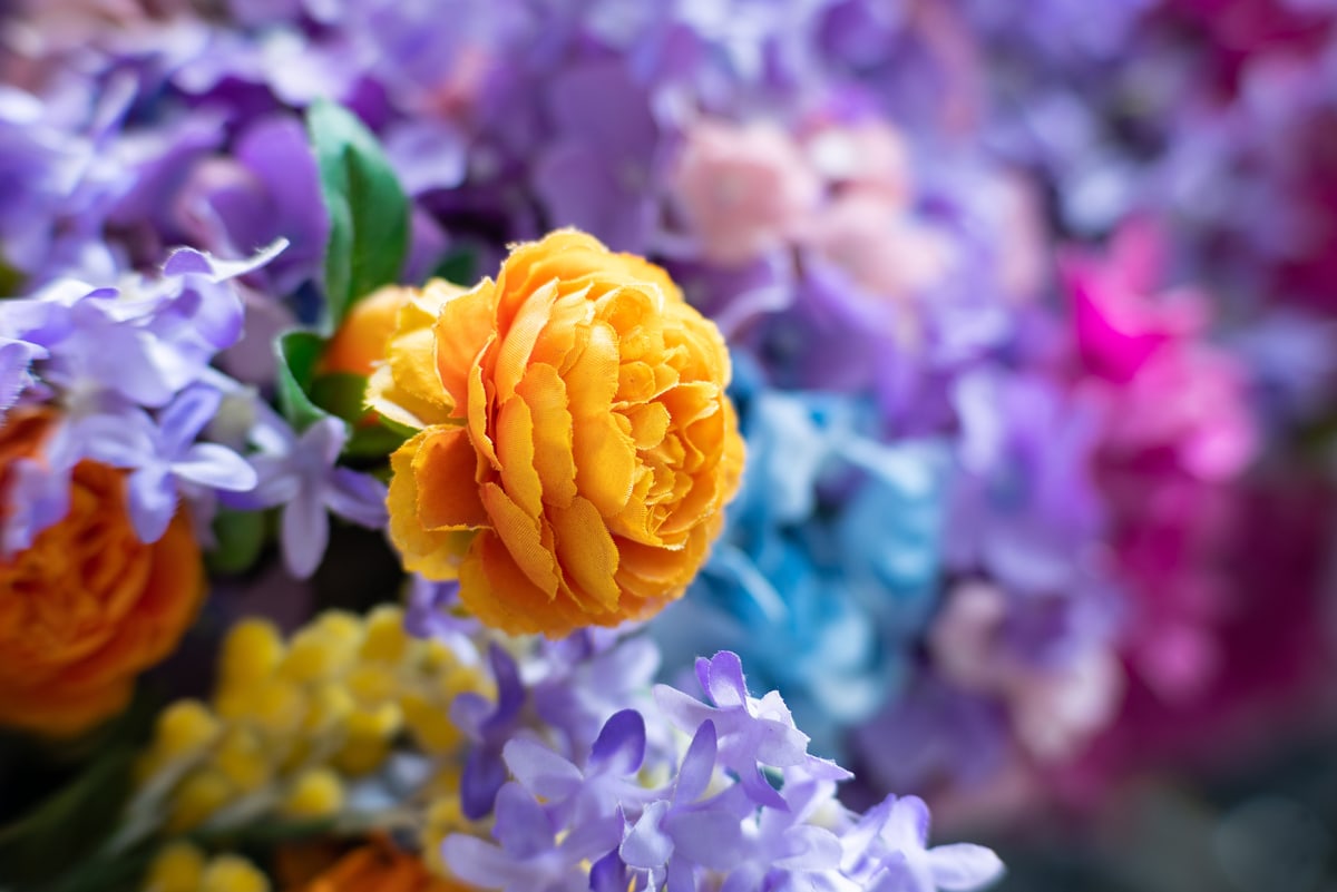 MK-50MM F0.95 Aps-C MFT