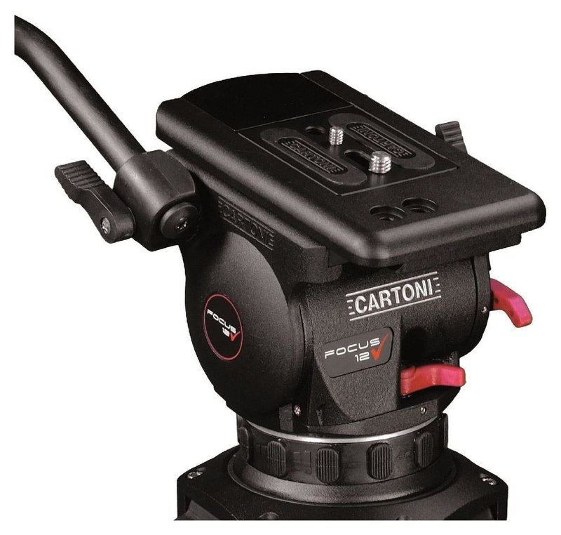 Cartoni Focus 12