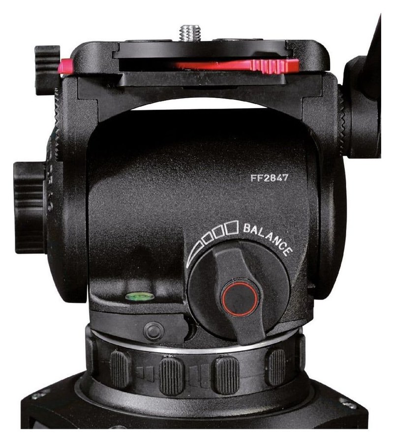 Cartoni Focus 12 – Gewichtsausgleich und Libelle