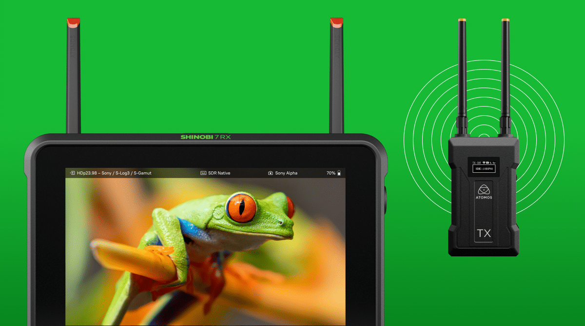 Atomos Shinobi 7 RX mit drahtlosem Atomos TX Sender