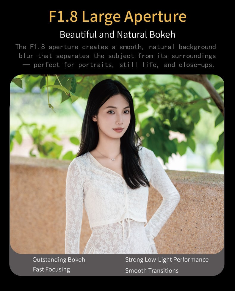 FE 85mmF1.8 STM SE II