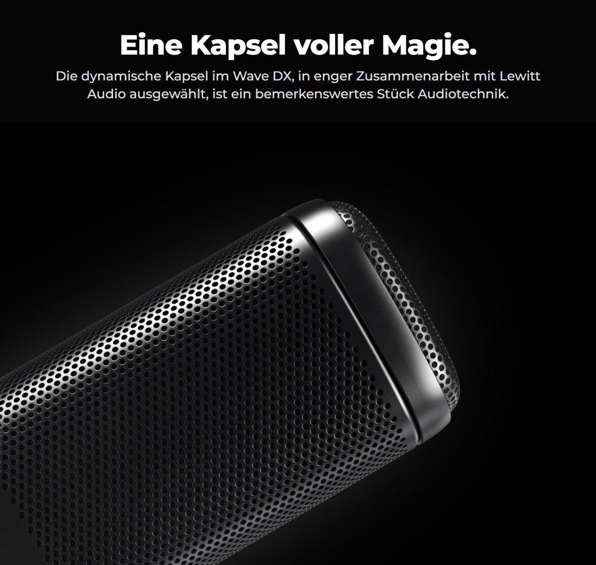 Kapsel von Lewitt Audio
