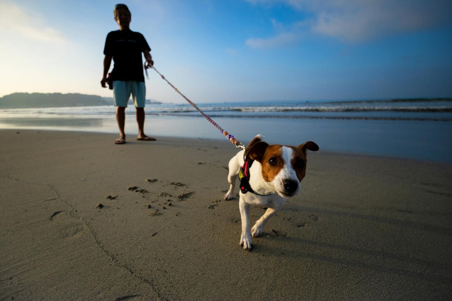 S objektivem Tamron vytvoř&iacute;te n&aacute;dhern&eacute; sn&iacute;mky při různ&eacute;m nasv&iacute;cen&iacute;